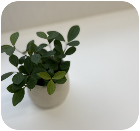 病気の予防と早期発見のために